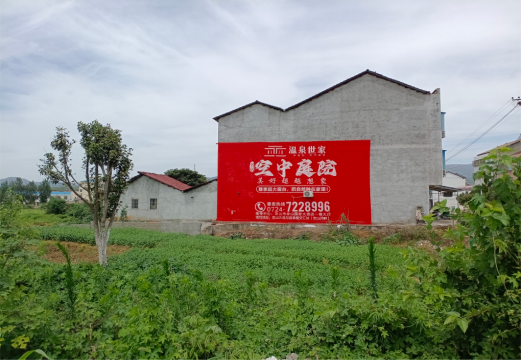 蒙城做墙体广告的意义