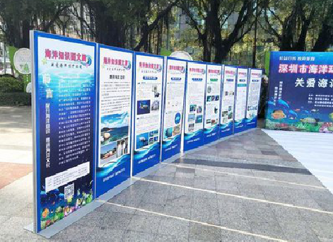 蒙城KT板的种类和知识。